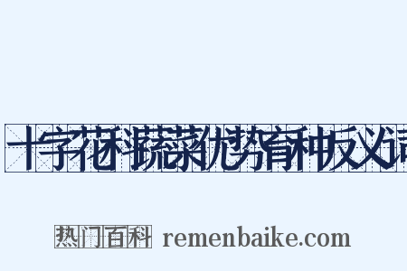 十字花科蔬菜优势育种反义词是什么意思的图片